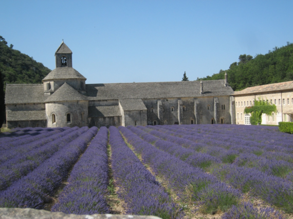 Lavendelfeld vor Kloster